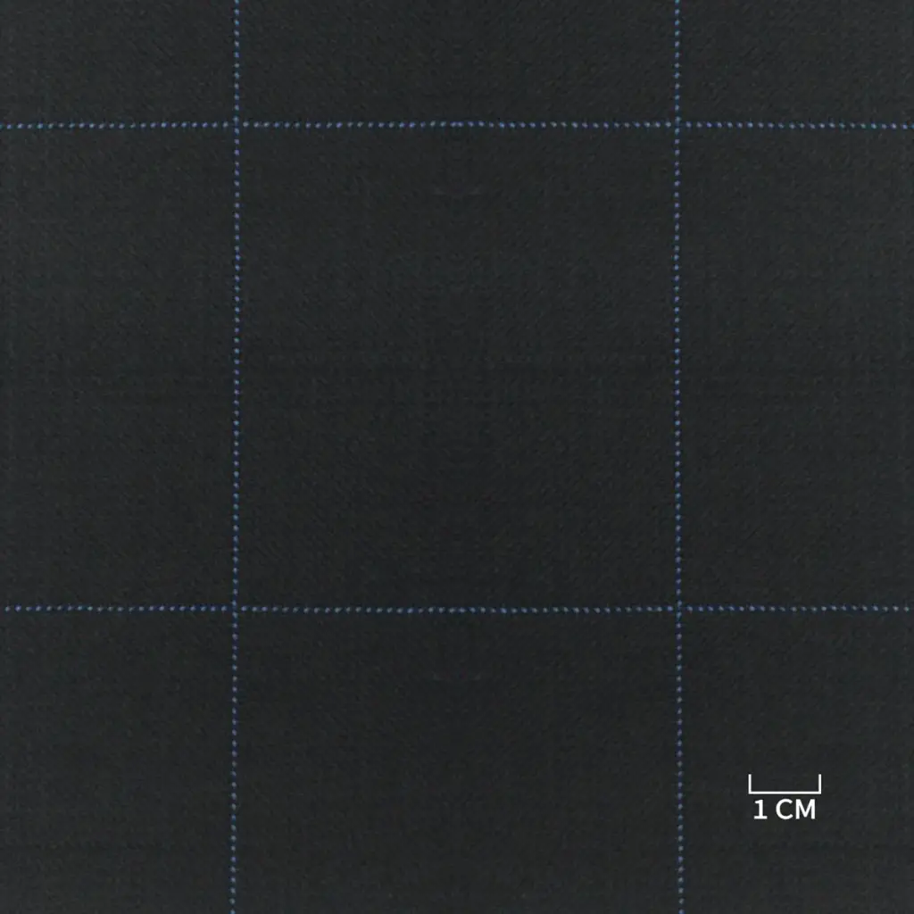 BLUE, BLUE CHECKS - Image 1