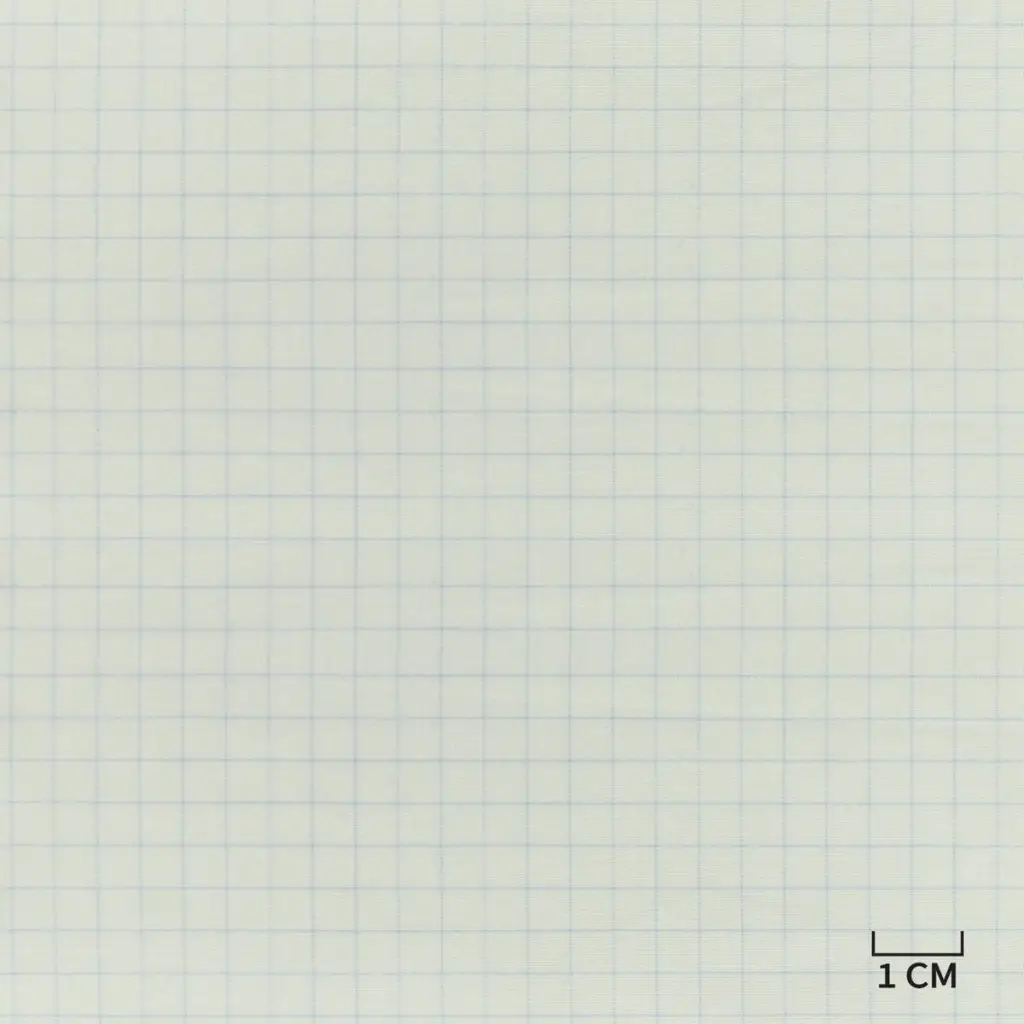 WHITE, BLUE CHECKS - Image 1