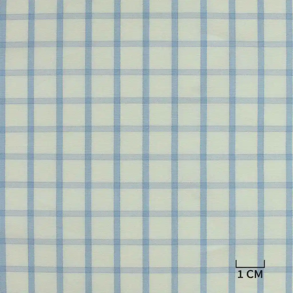 WHITE, BLUE CHECKS - Image 1