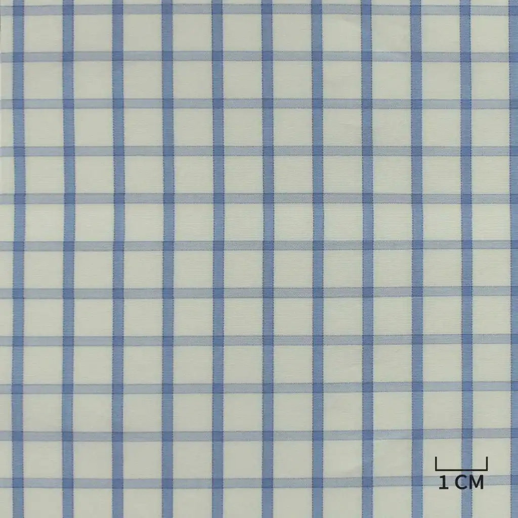 WHITE, BLUE CHECKS - Image 1