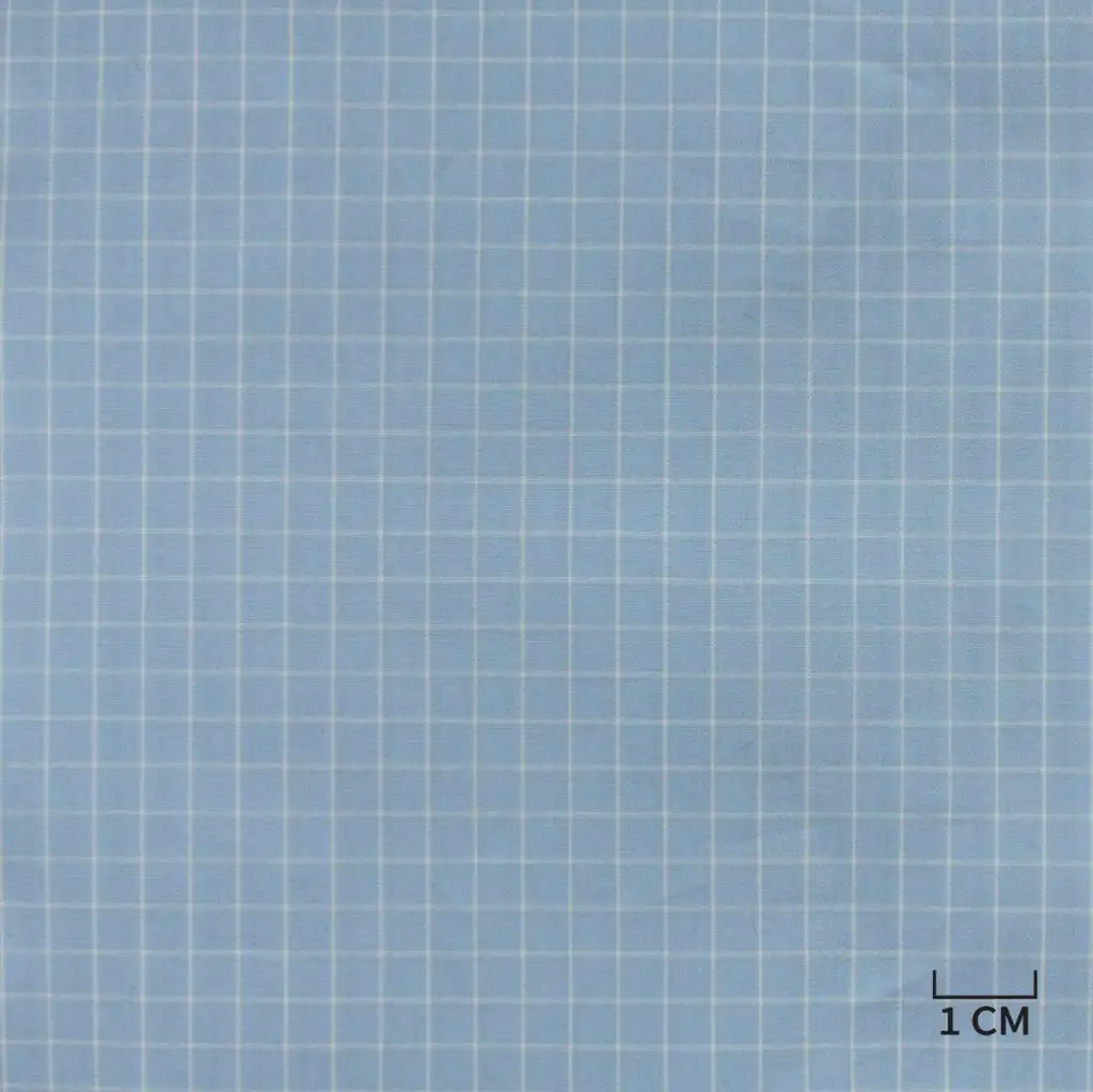 BLUE, WHITE CHECKS - Image 1