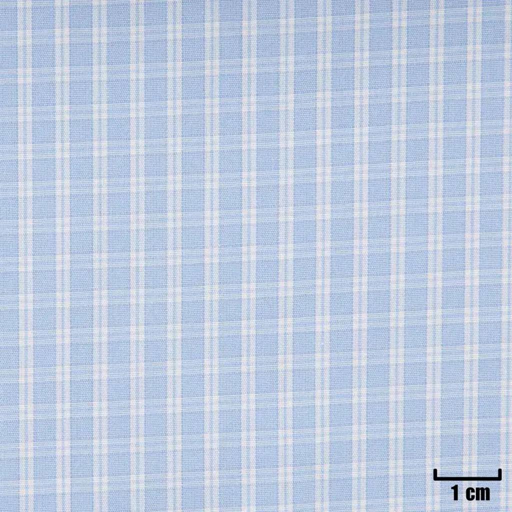 BLUE, SMALL WHITE CHECKS - Image 1