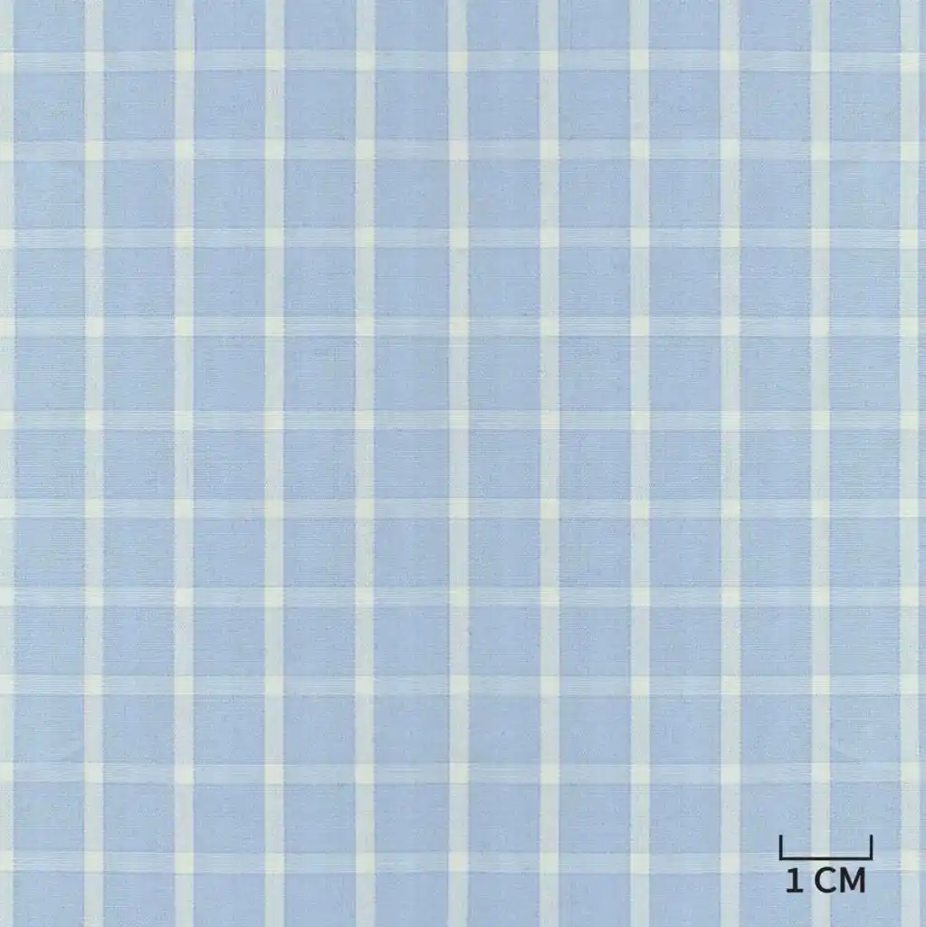 BLUE, WHITE CHECKS - Image 1
