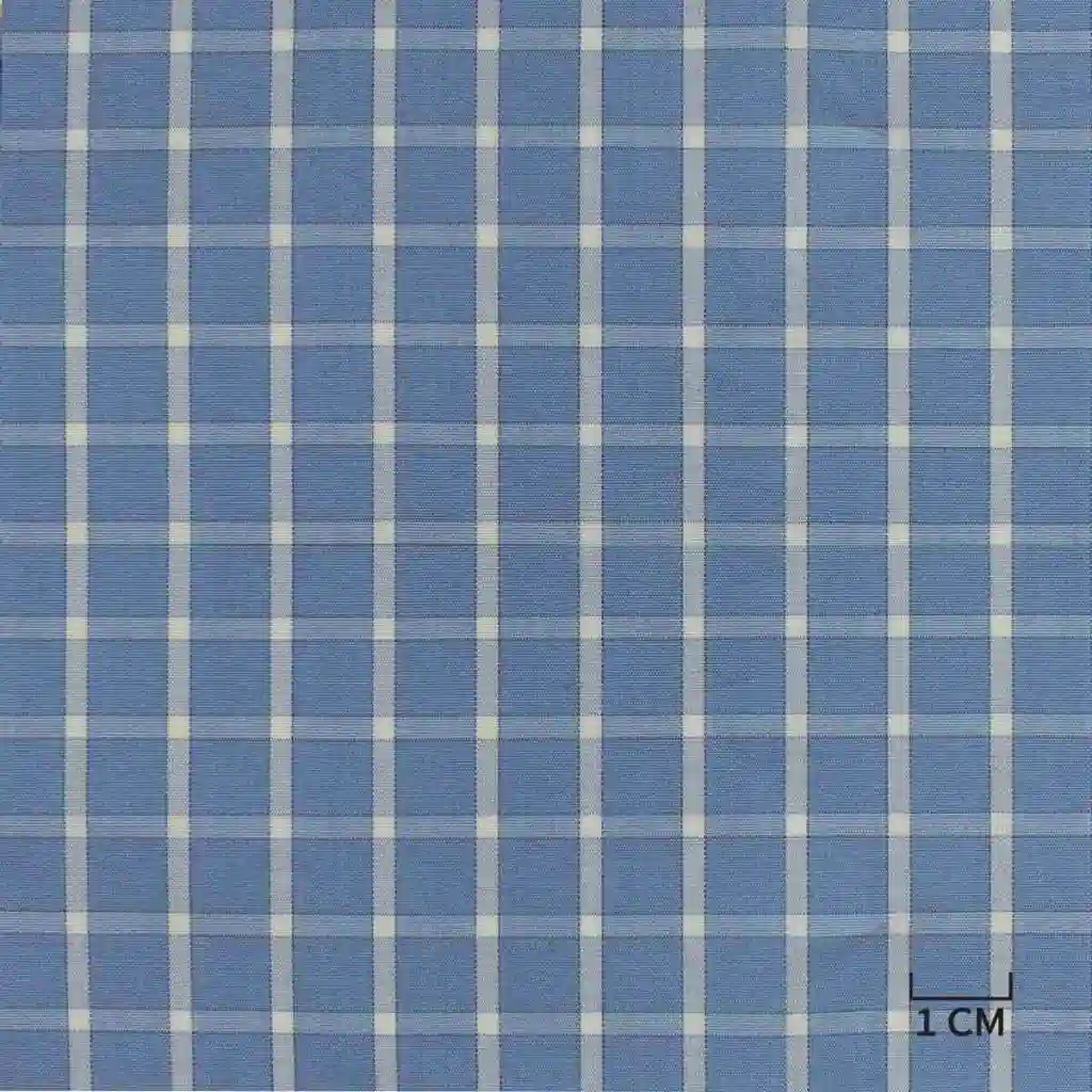 BLUE, WHITE CHECKS - Image 1