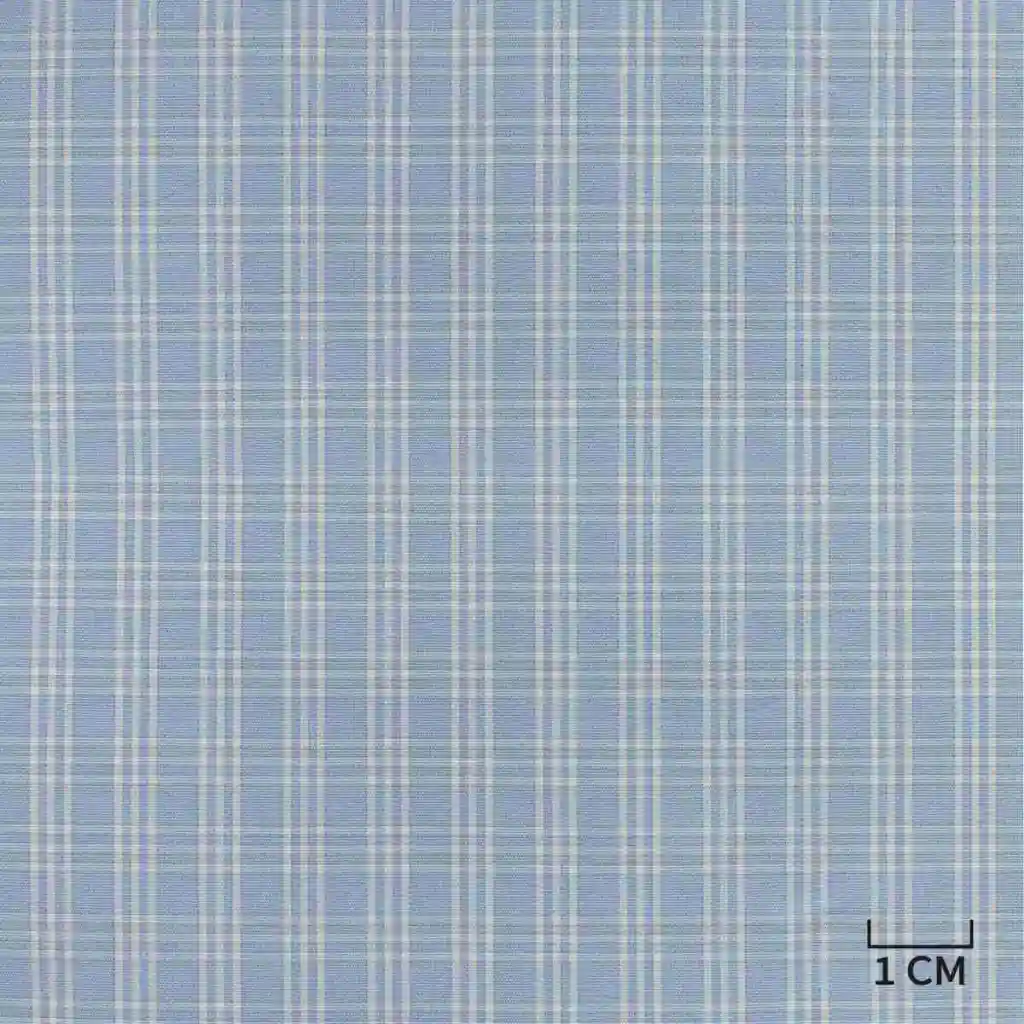 BLUE, WHITE CHECKS - Image 1