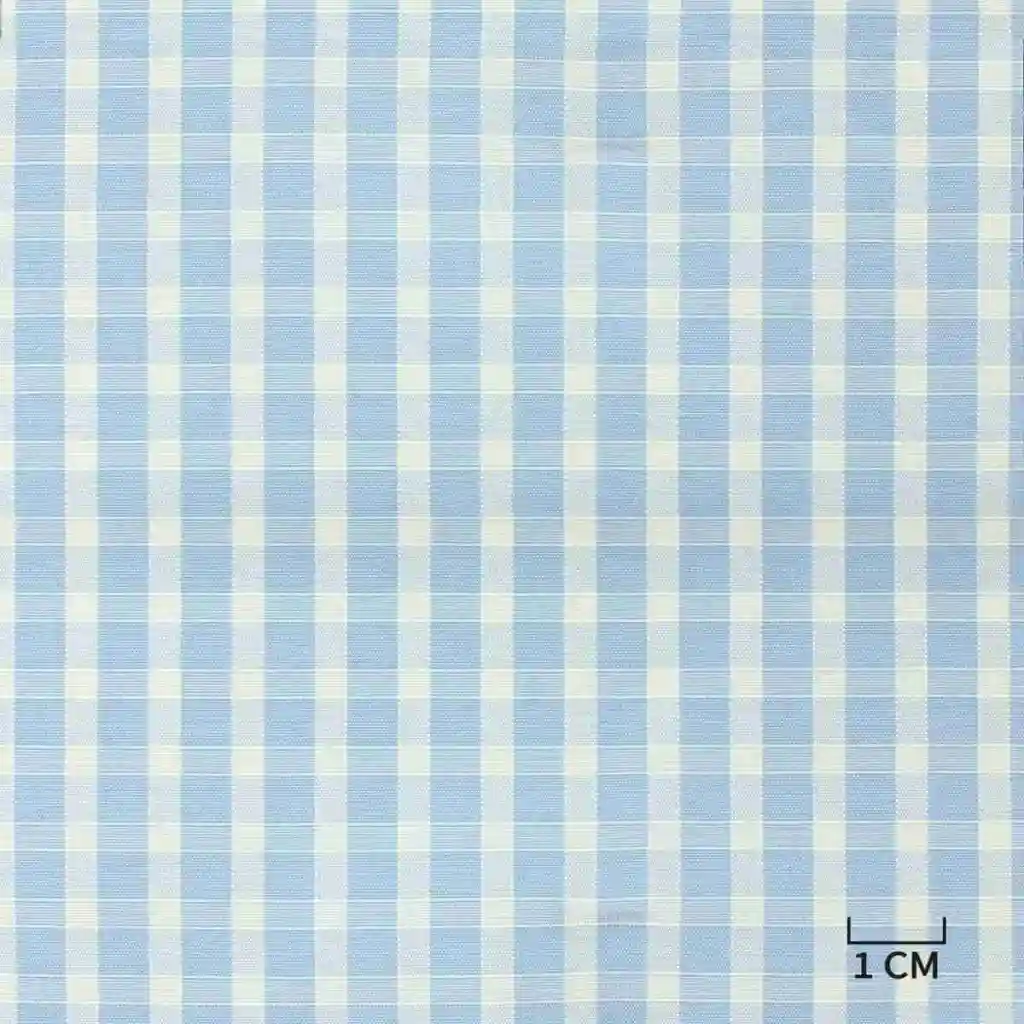 BLUE/WHITE, CHECKS - Image 1