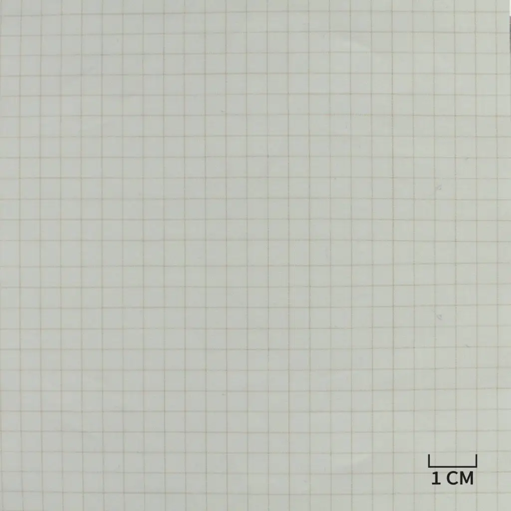 WHITE, TAN CHECKS - Image 1