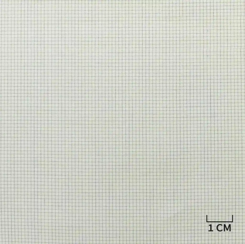 WHITE, BLUE CHECKS - Image 1
