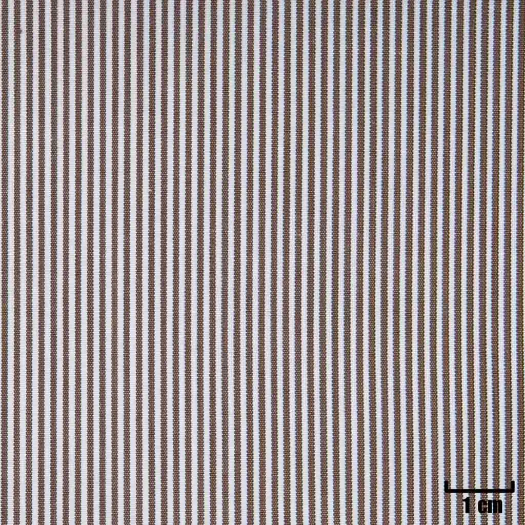 BROWN, WHITE STRIPES - Image 1