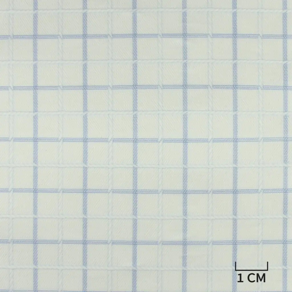 WHITE, BLUE CHECKS - Image 1
