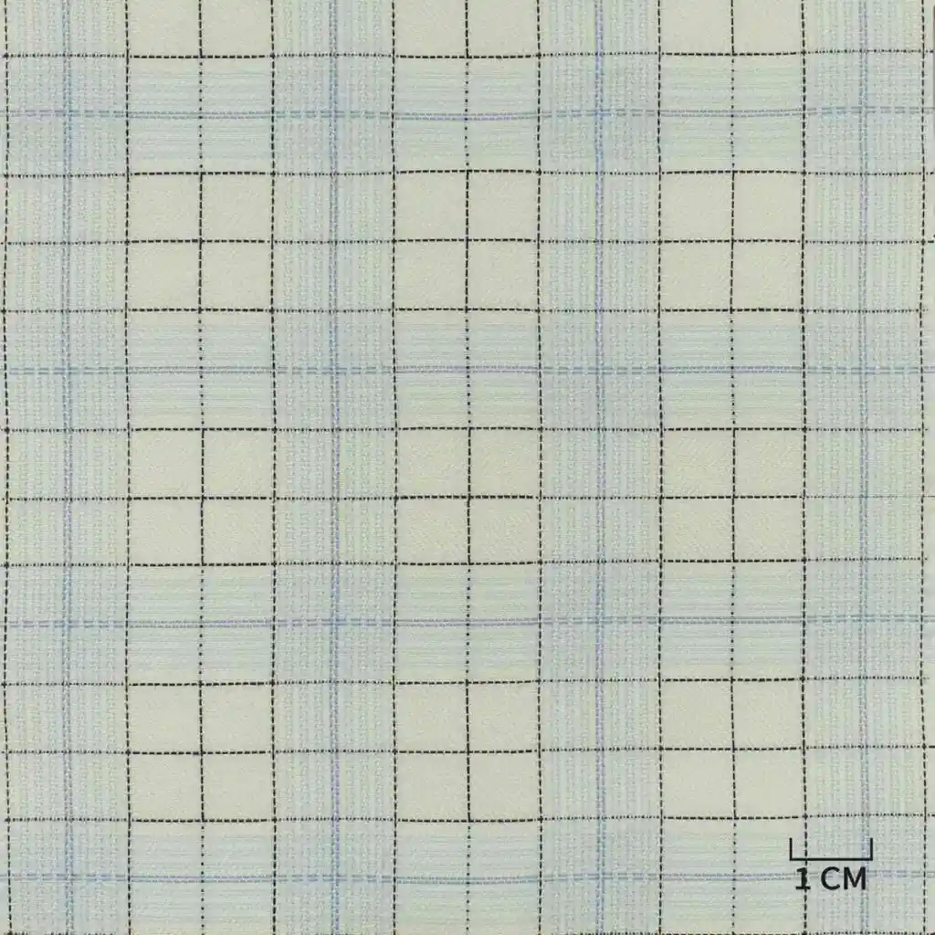 WHITE, BLUE CHECKS - Image 1