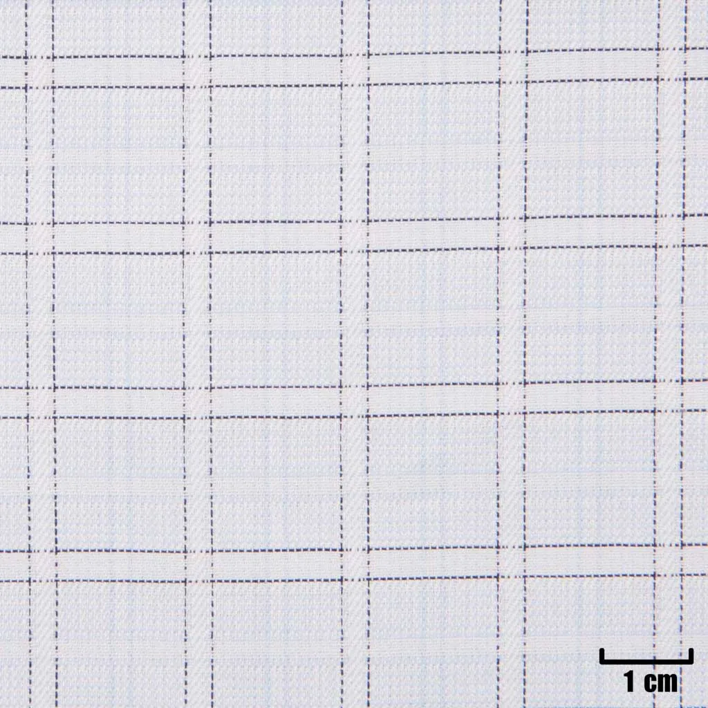 WHITE, BLUE CHECKS - Image 1