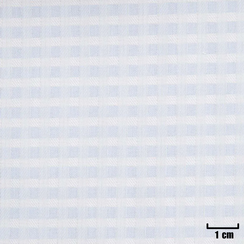 BLUE, SMALL WHITE CHECKS - Image 1