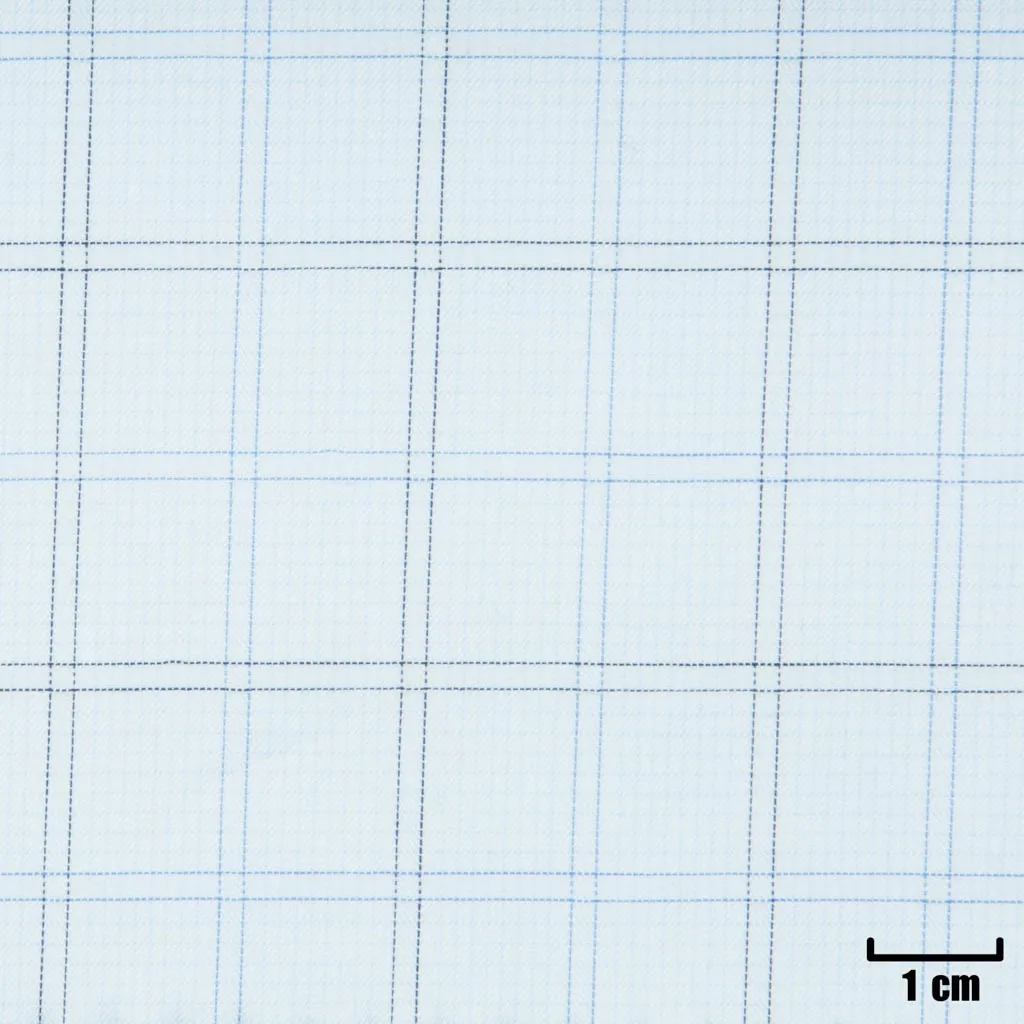 WHITE, BLUE CHECKS - Image 1
