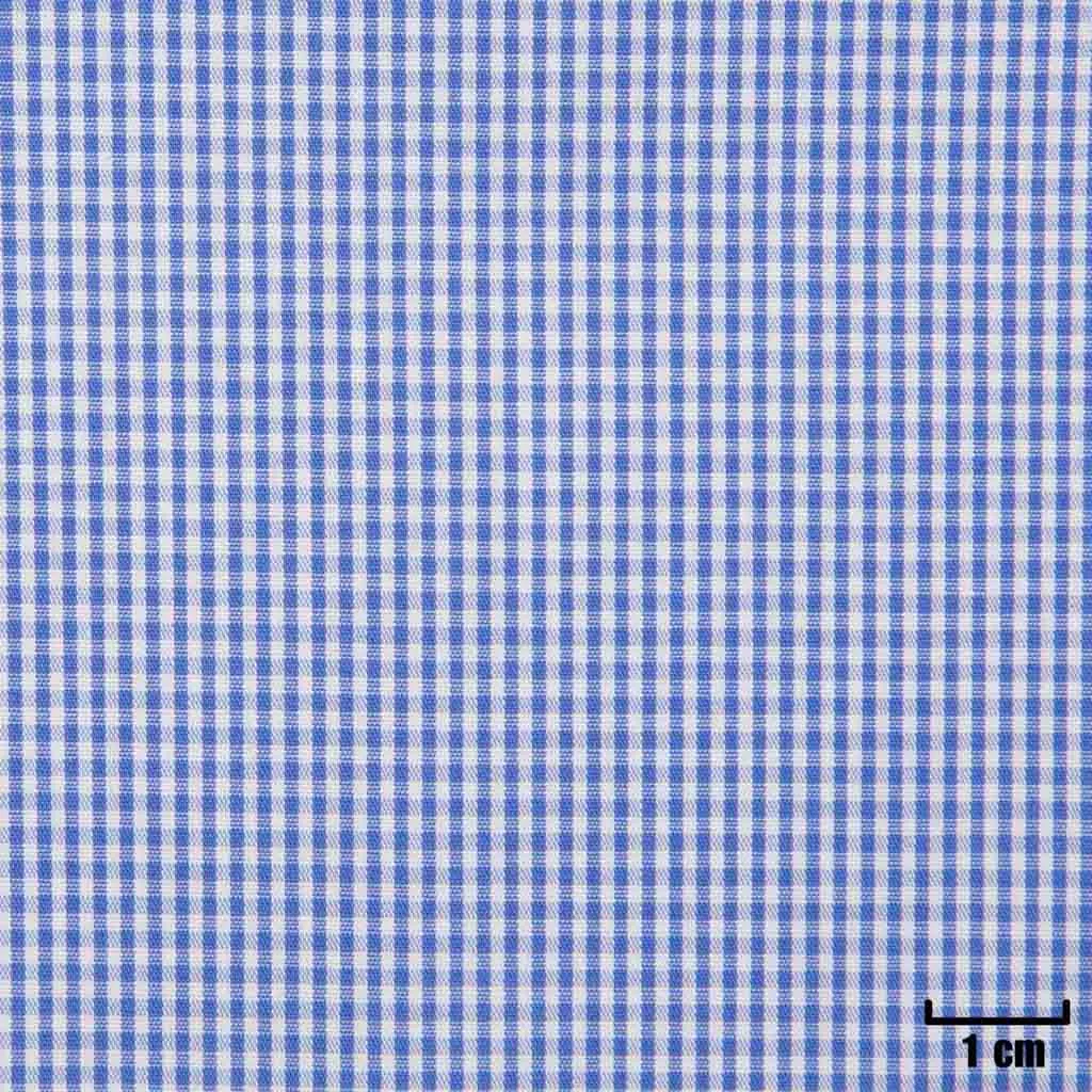 WHITE, SMALL BLUE CHECKS - Image 1