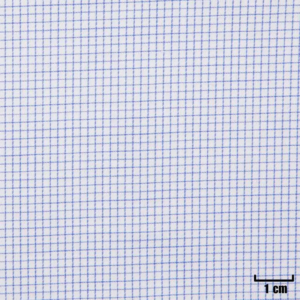 WHITE, SMALL BLUE CHECKS - Image 1