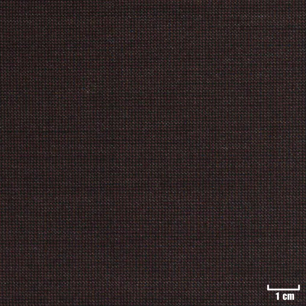 BROWN, DOTTED PATTERN - Image 1