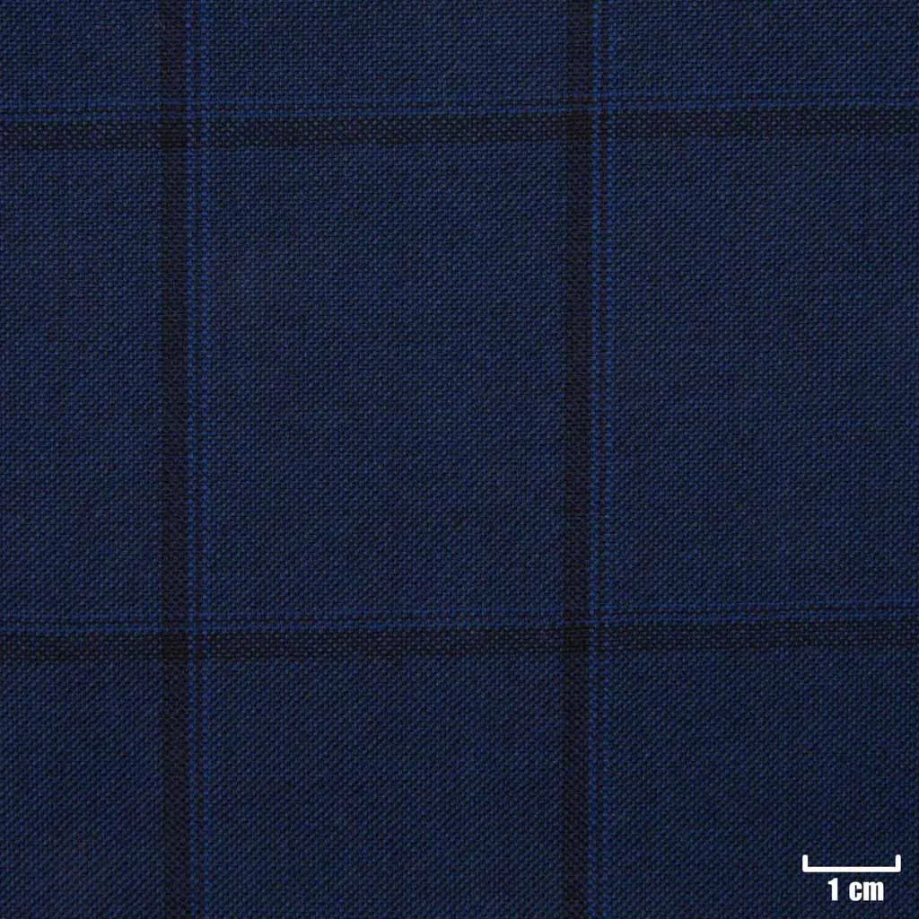 BLUE, BLACK CHECKS
