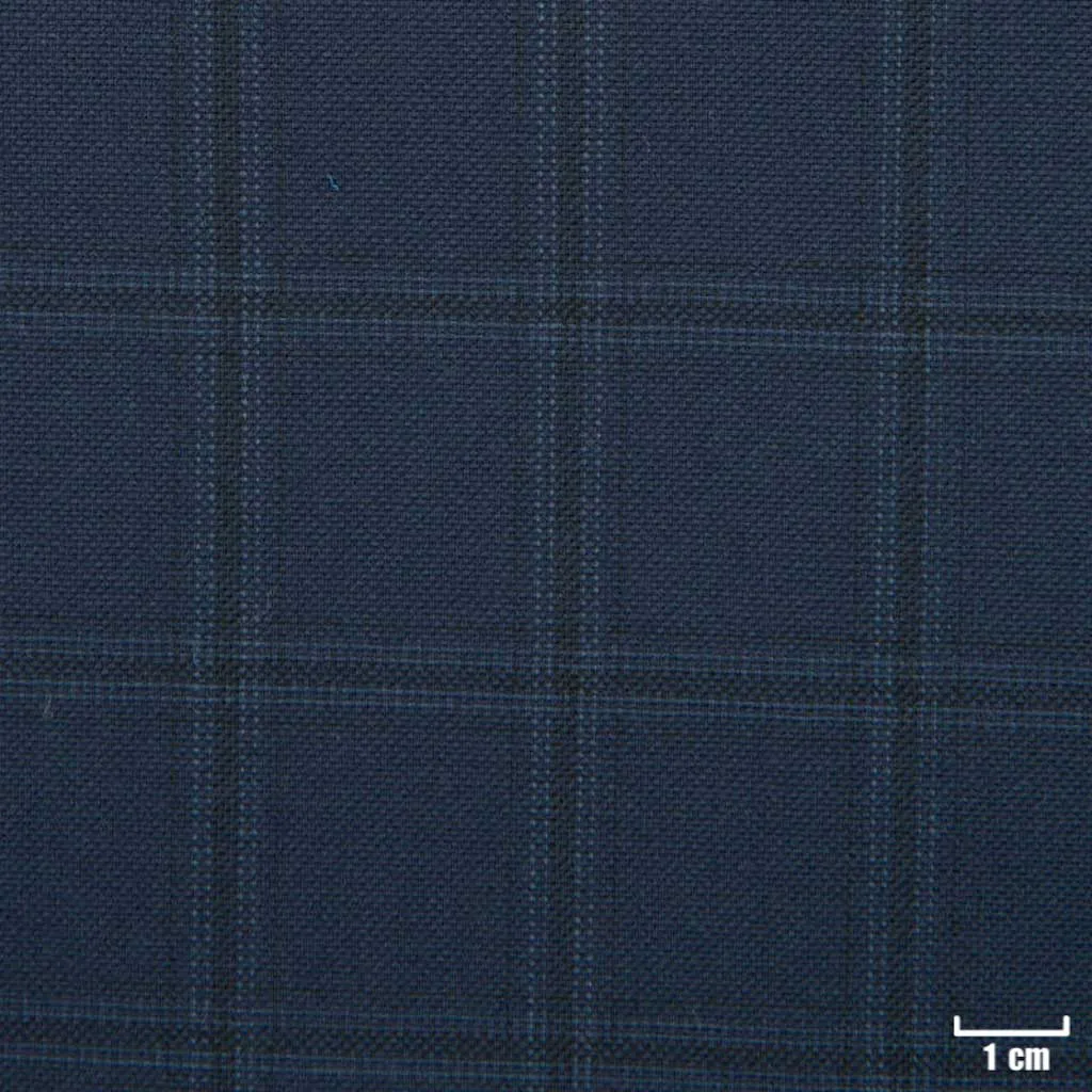 BLUE, CHECKS