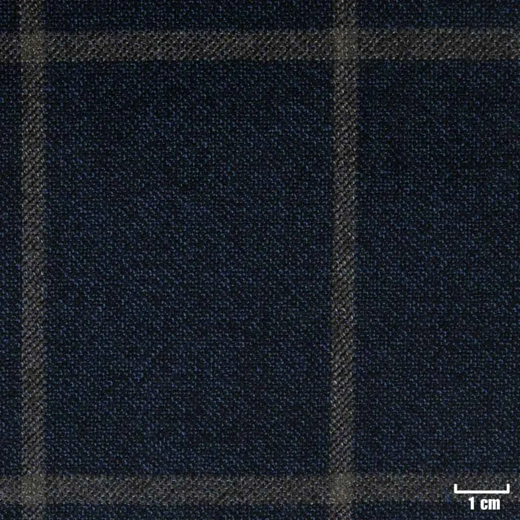 BLUE, GREY CHECKS - Image 1