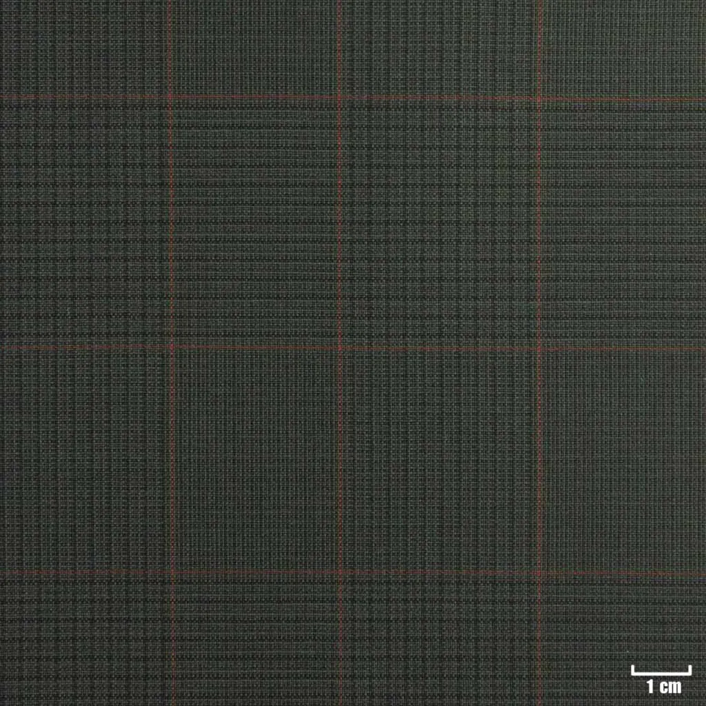 GREEN, RED CHECKS