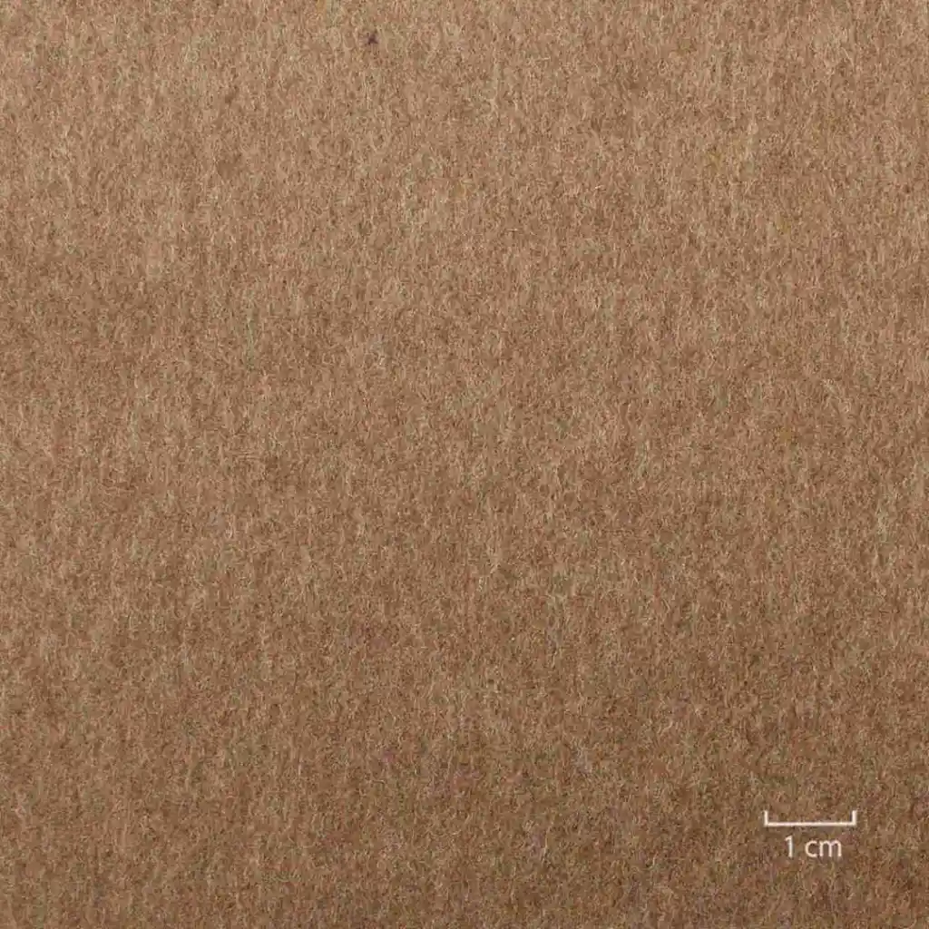 BROWN, PLAIN