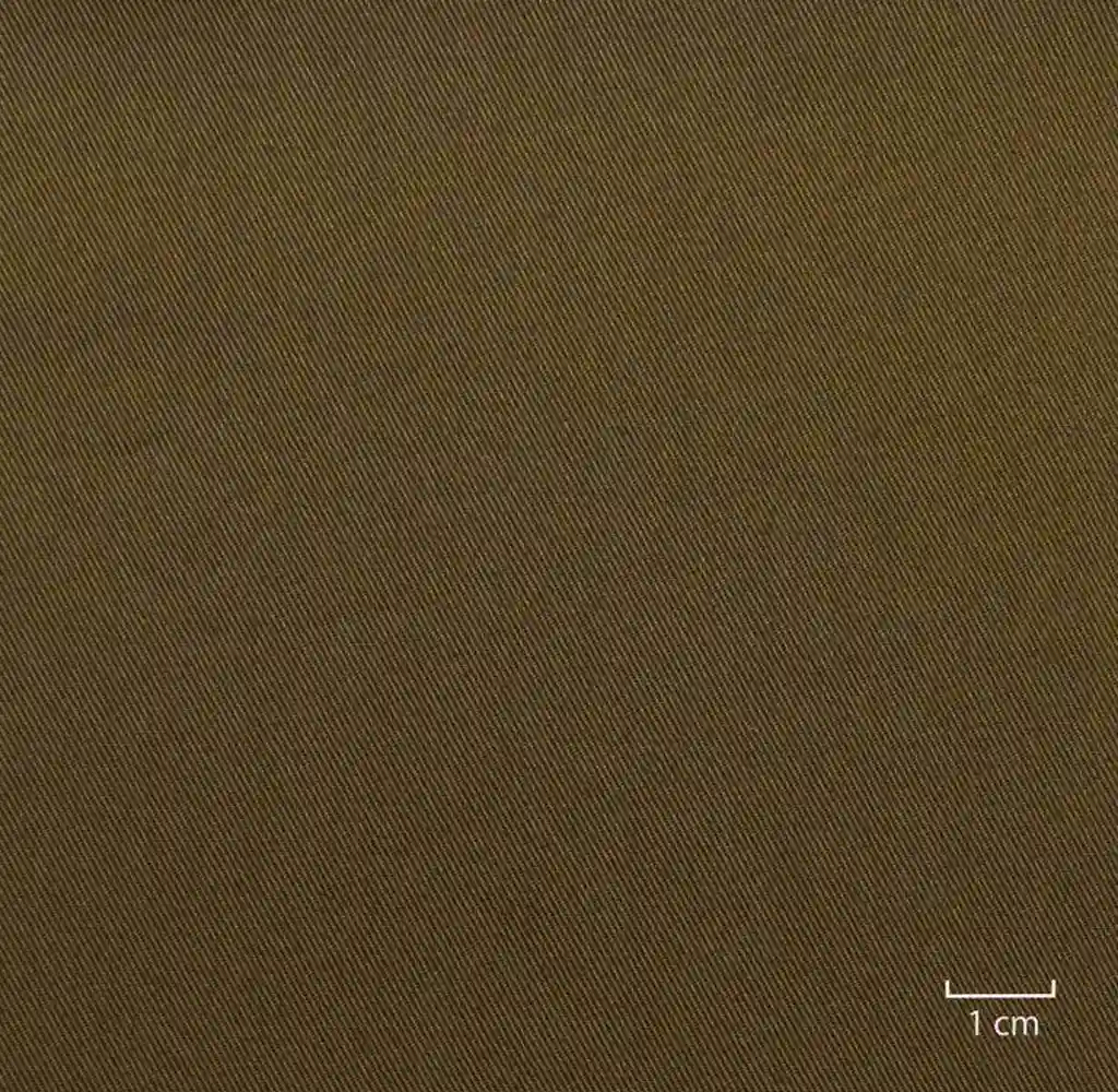 BROWN, PLAIN