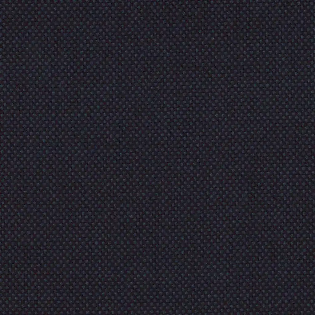 DARK BLUE, BIRDEYE